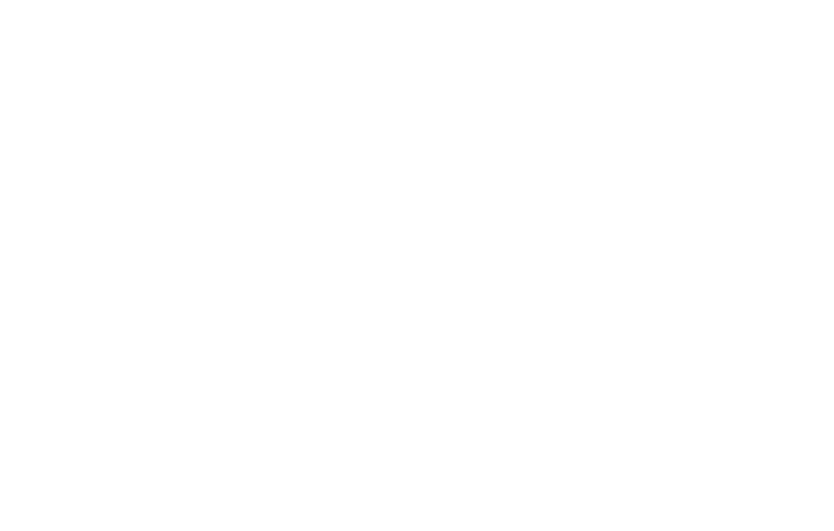 logo navixis